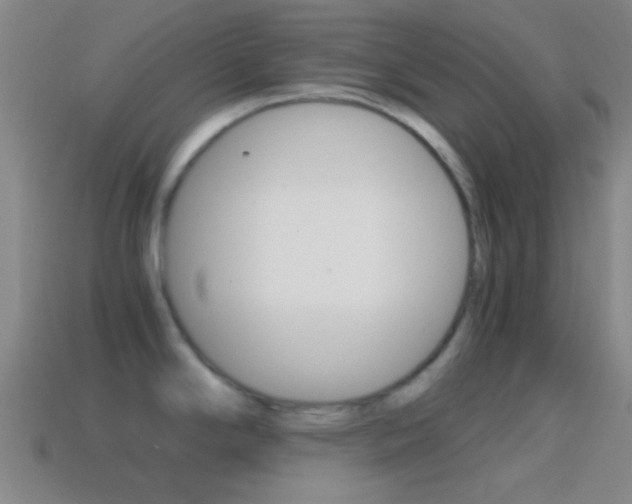 X0000114701294200910211001
