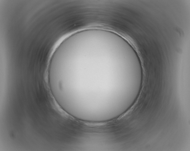 X0000114701296200910211001