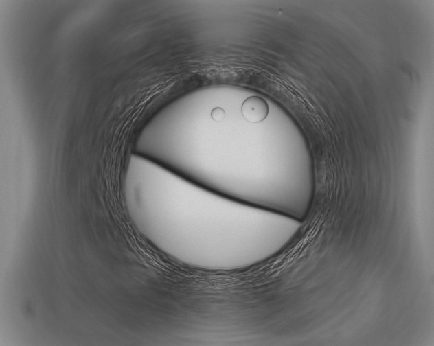 X0000114701297200910211000