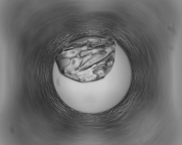 X0000114701298200910211000