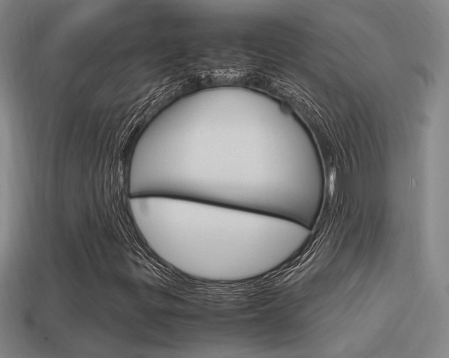 X0000114701299200910211000