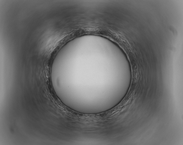X0000114701301200910211000