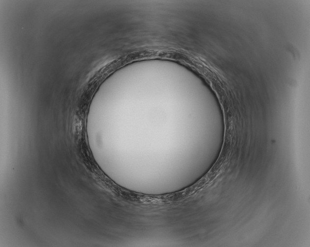 X0000114701302200910211000