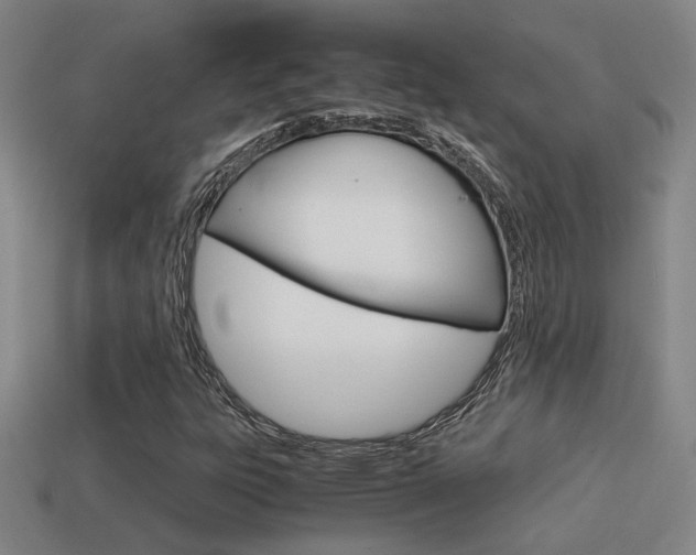 X0000114701303200910211000