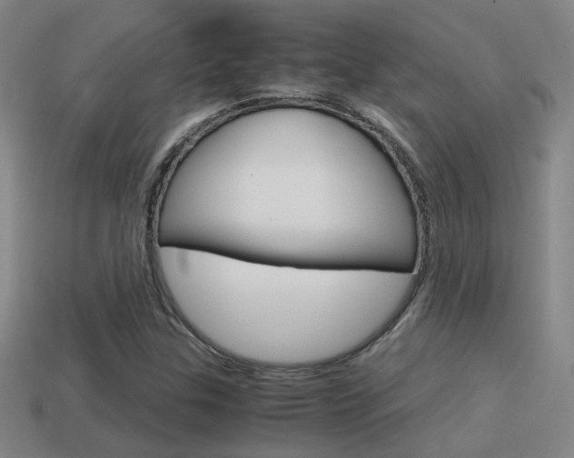 X0000114701307200910211000