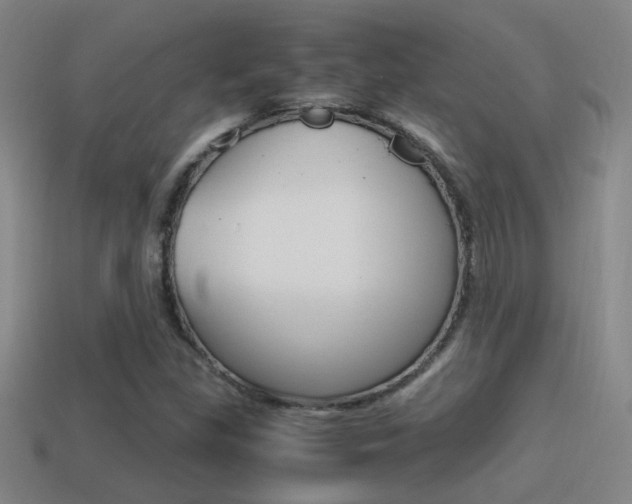 X0000114701309200910211000