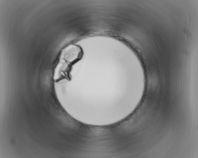 X0000114701314200910211000