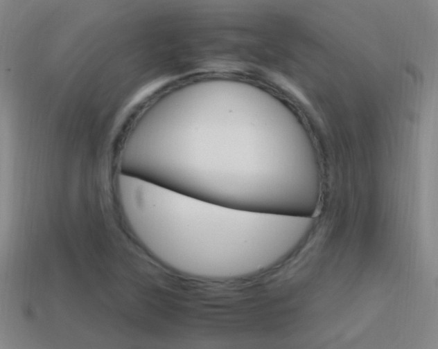 X0000114701315200910211001