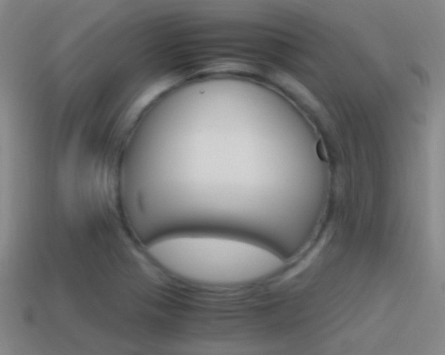 X0000114701321200910211001