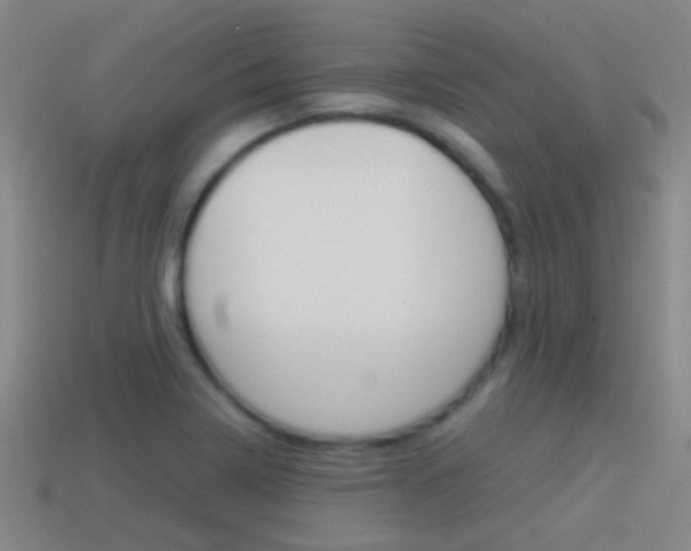 X0000114701322200910211001