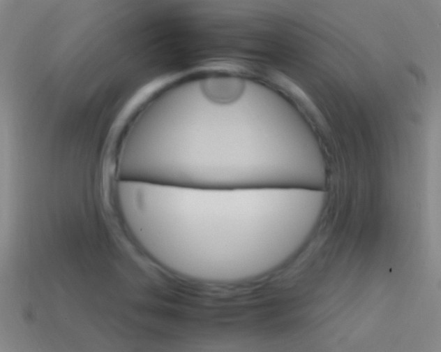 X0000114701323200910211001