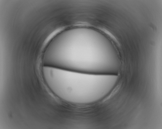 X0000114701325200910211001
