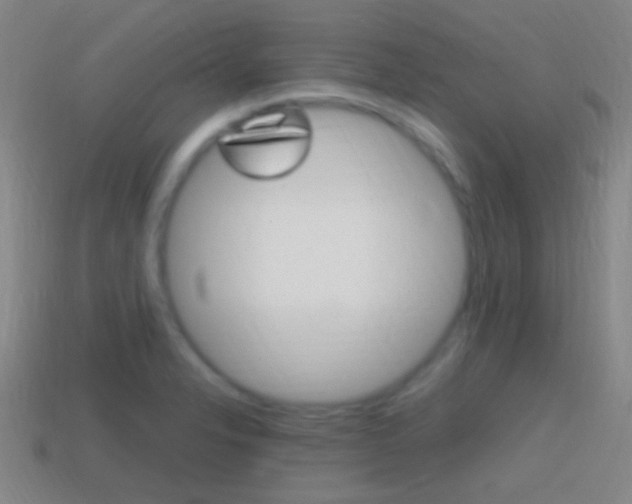 X0000114701326200910211001