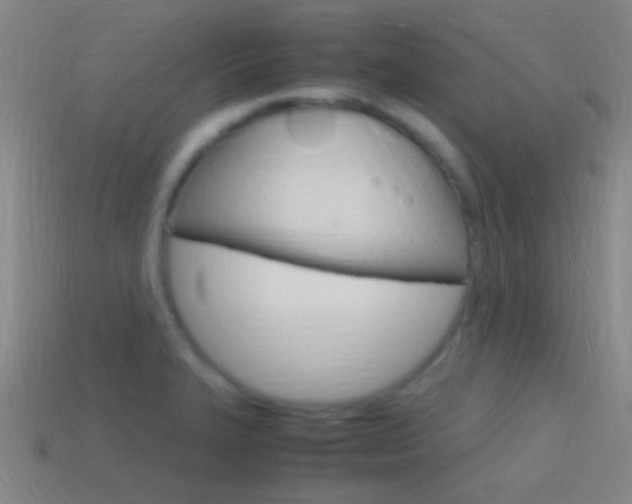 X0000114701327200910211001