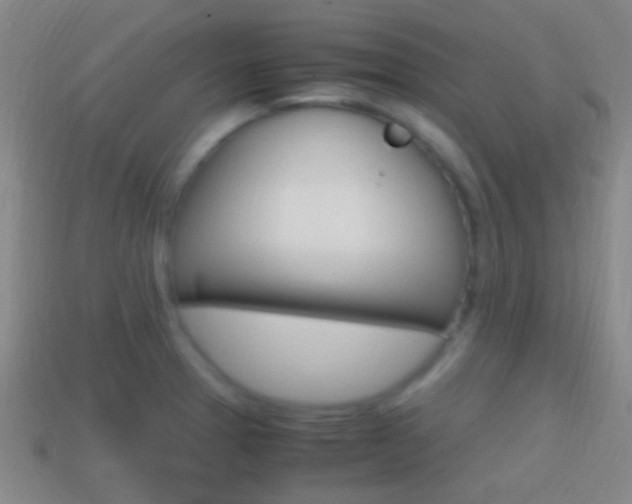 X0000114701329200910211001