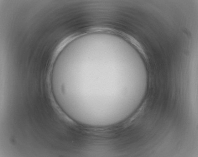 X0000114701330200910211001