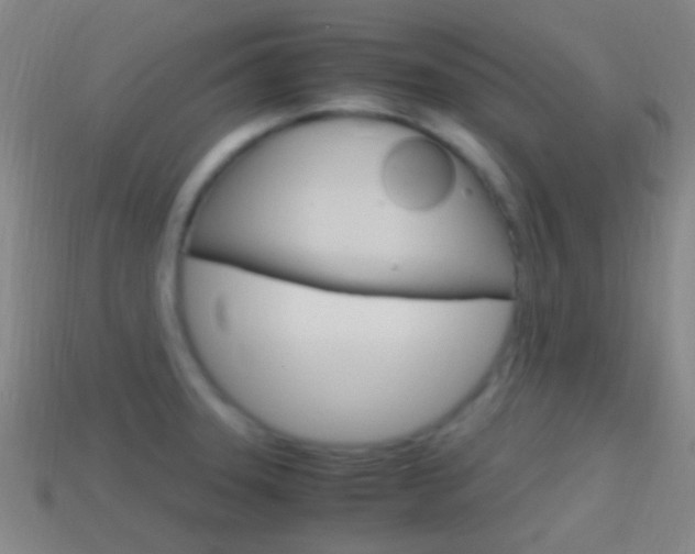 X0000114701331200910211001