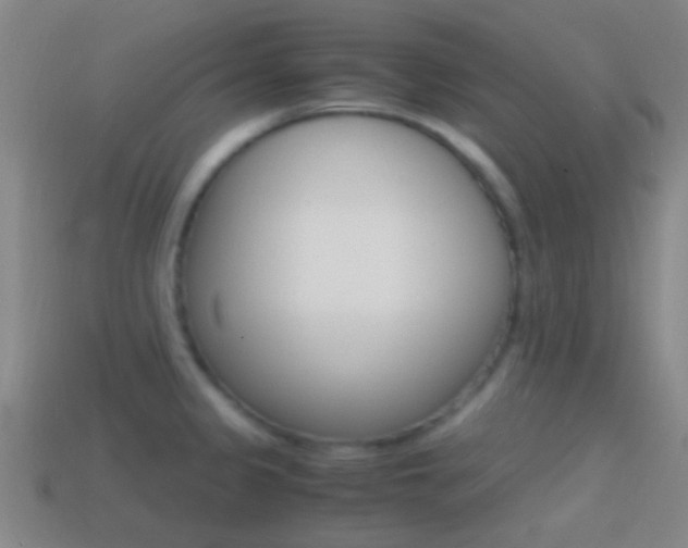 X0000114701333200910211001
