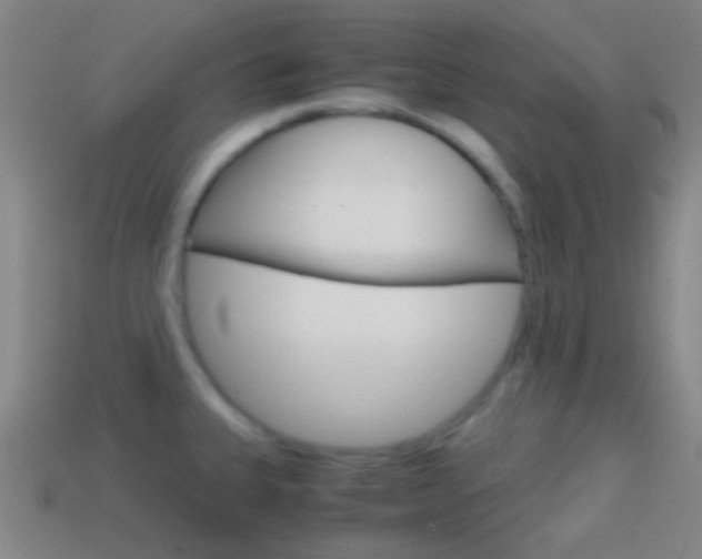 X0000114701335200910211001