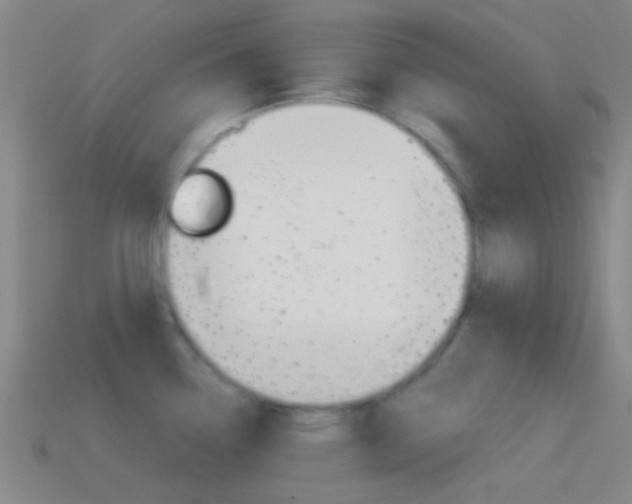 X0000114701338200910211001