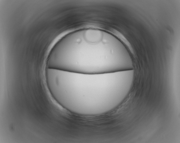 X0000114701339200910211001