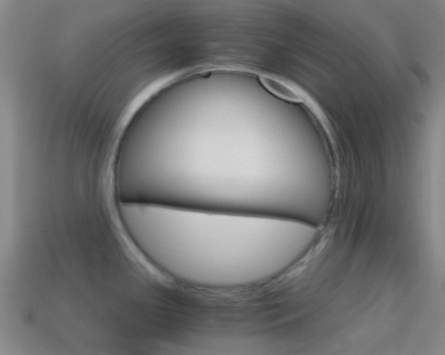 X0000114701341200910211001