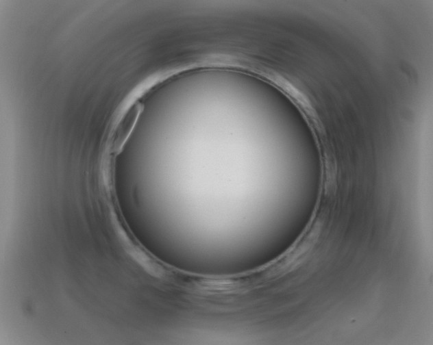 X0000114701342200910211001