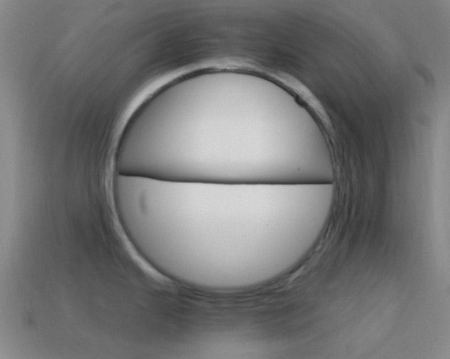 X0000114701343200910211001