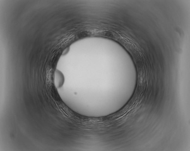 X0000114701346200910211000