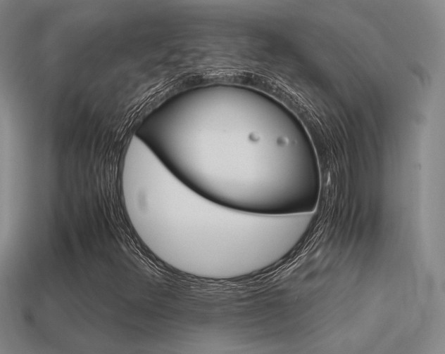 X0000114701348200910211000