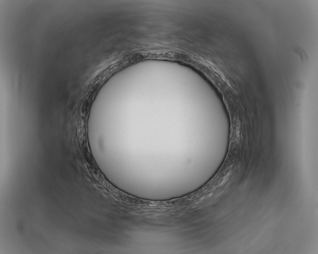 X0000114701350200910211000