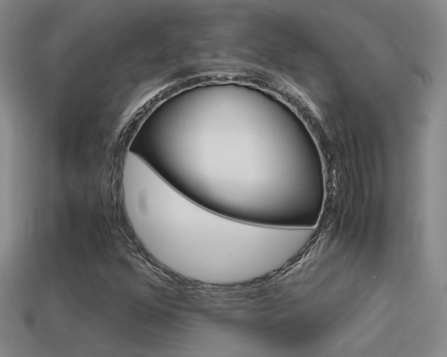 X0000114701352200910211000