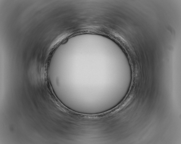 X0000114701354200910211000