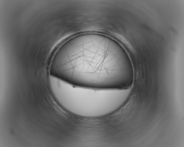 X0000114701356200910211000