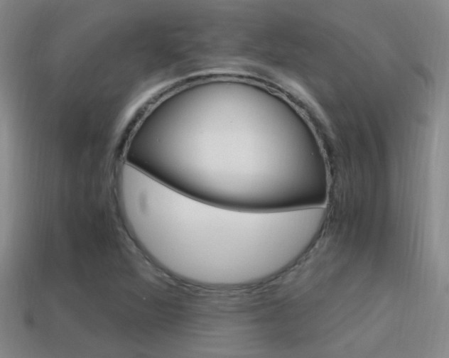 X0000114701360200910211000