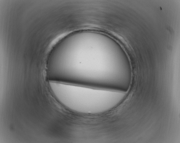 X0000114701363200910211000