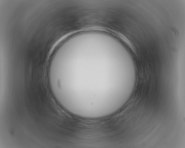 X0000114701364200910211000