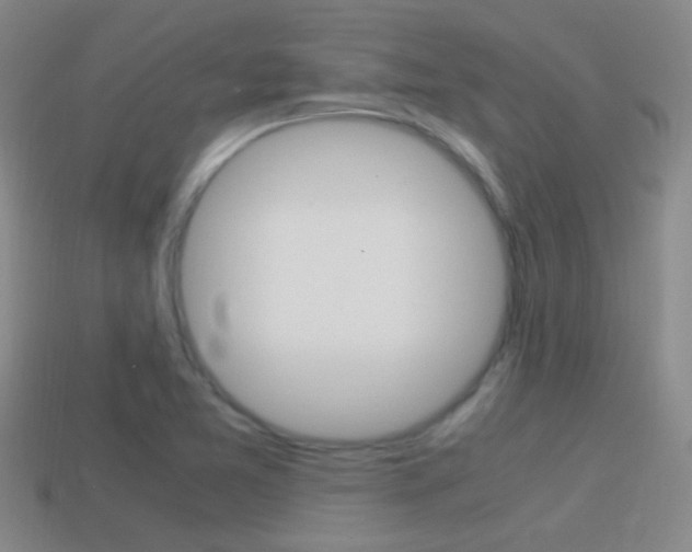 X0000114701365200910211000