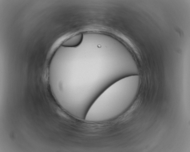 X0000114701366200910211000