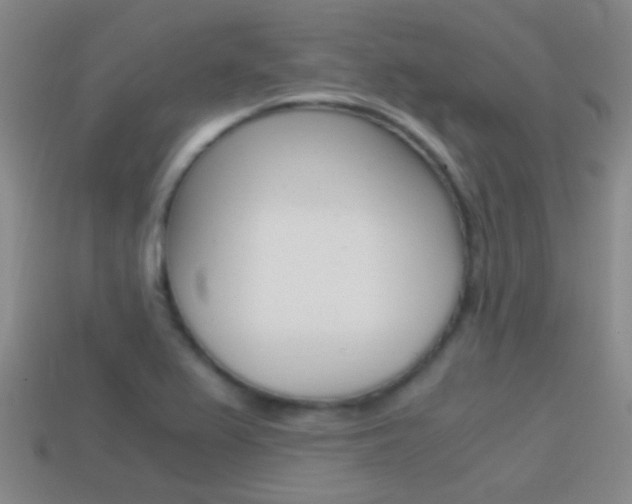 X0000114701367200910211000