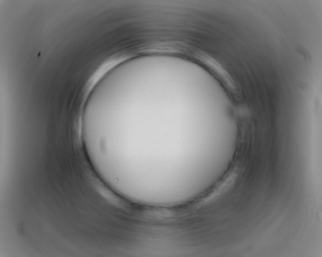 X0000114701370200910211000