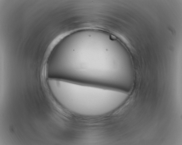 X0000114701371200910211000