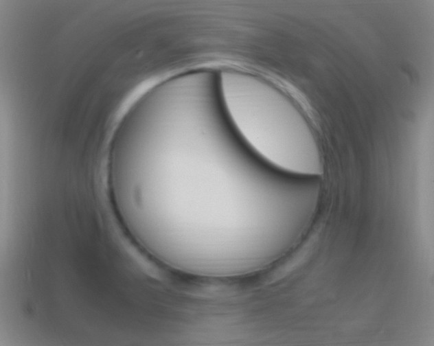 X0000114701375200910211000