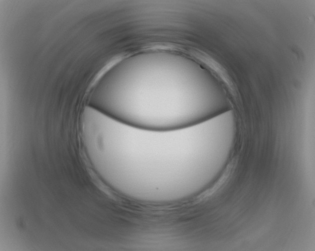 X0000114701377200910211000