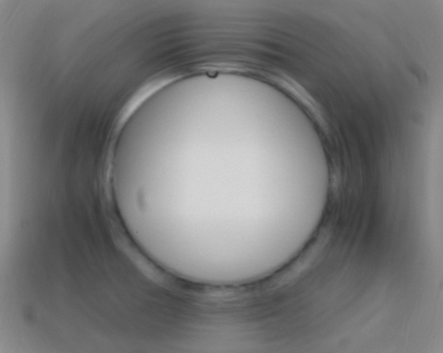 X0000114701378200910211000