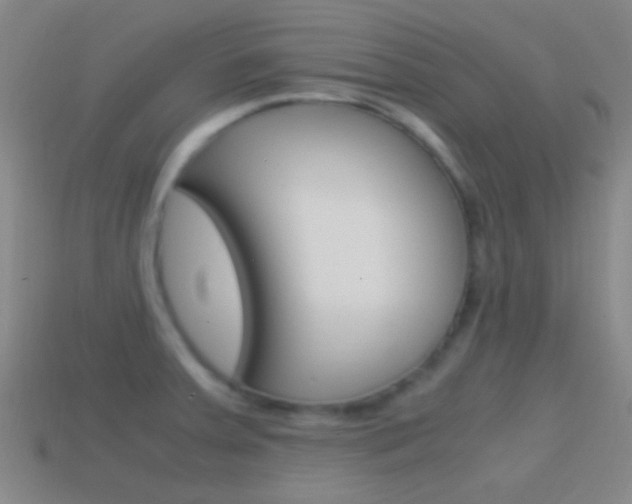 X0000114701379200910211000