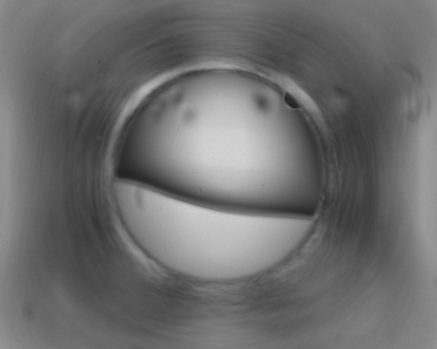 X0000114701380200910211000