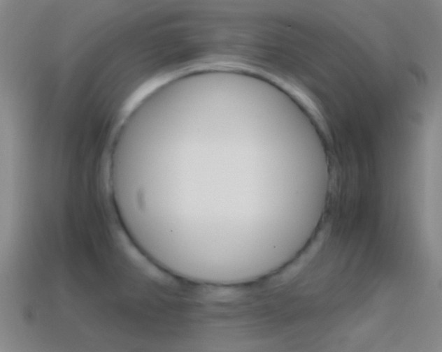 X0000114701382200910211000