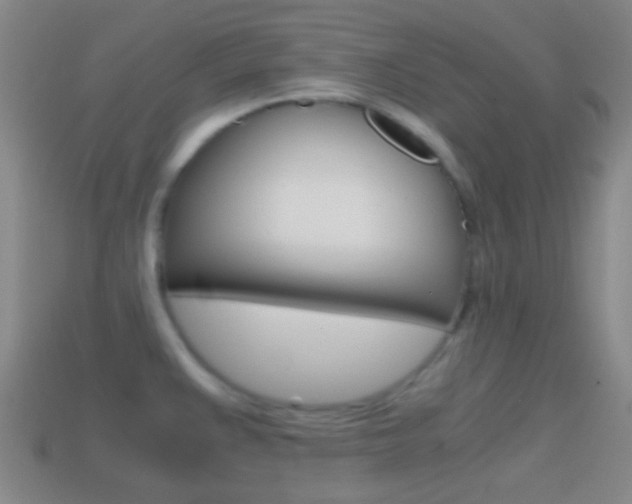 X0000114701383200910211000