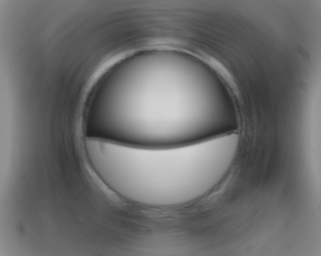 X0000114701384200910211000